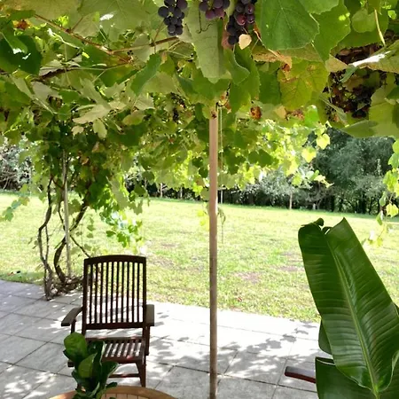 Holiday home Urretxiki-maruri Bilbao & Nature Experience *